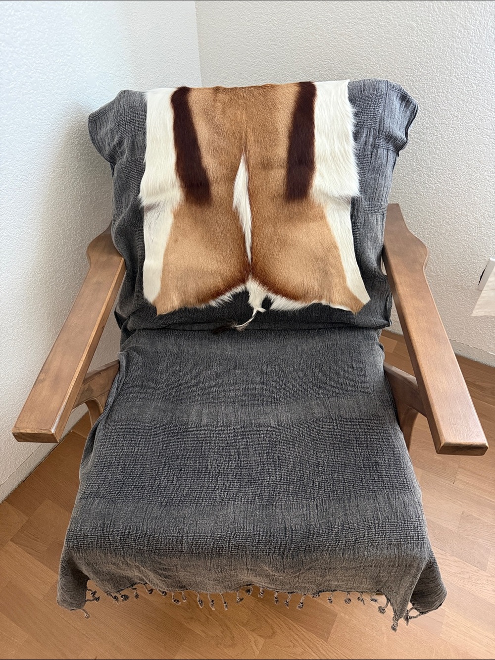 Natural springbock Hide Rug - Brown, White & Dark Brown Pattern - Picture 4 of 5